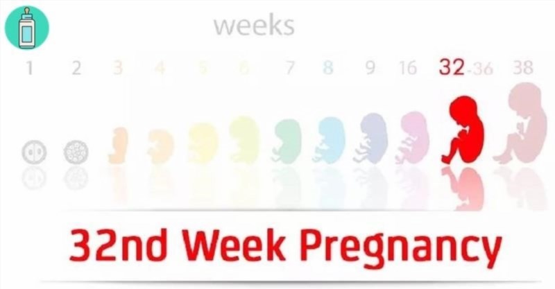 Các sự tiến triển của thai nhi vào tuần thứ 32