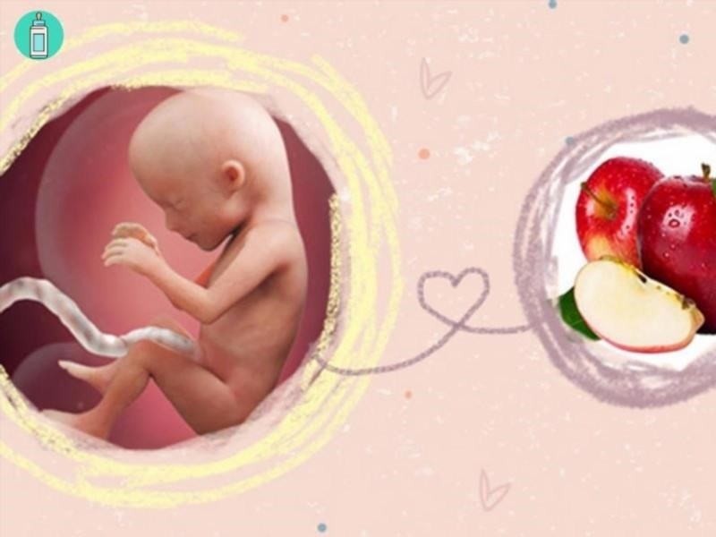 Mang thai tuần thứ 15 và những lời khuyên dành cho mẹ bầu