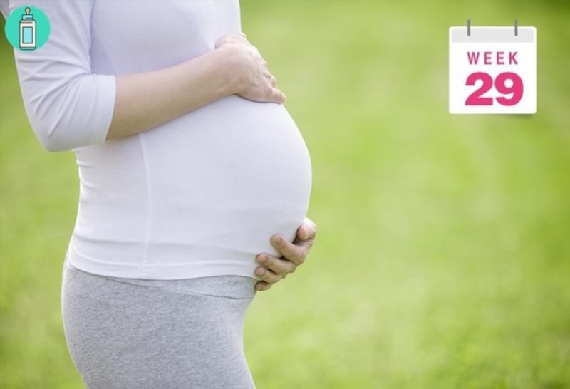 Thai giáo tuần 29 - nuôi dưỡng thai nhi trong tử cung.