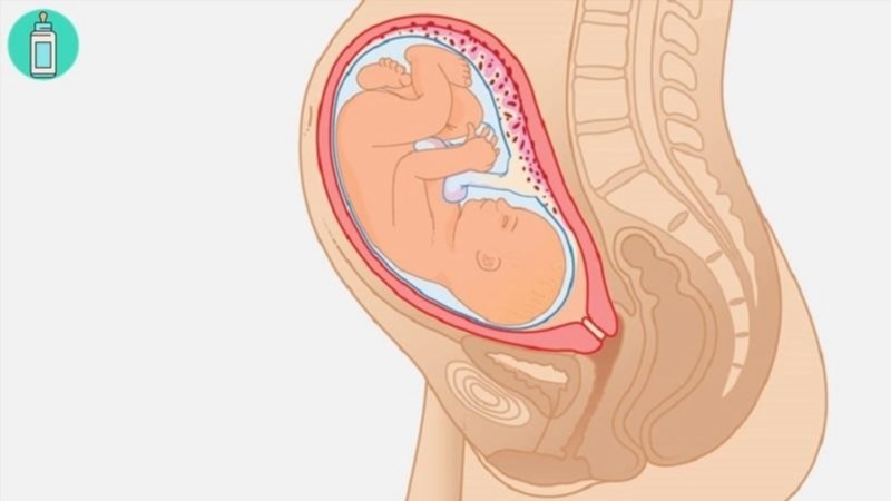Sự biến đổi trong cơ thể của mẹ bầu trong tuần thứ 31 thai kỳ.