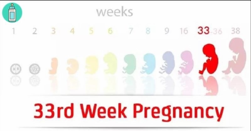 Bảng trọng lượng thai nhi 33 tuần và chỉ số tăng trưởng của em bé.