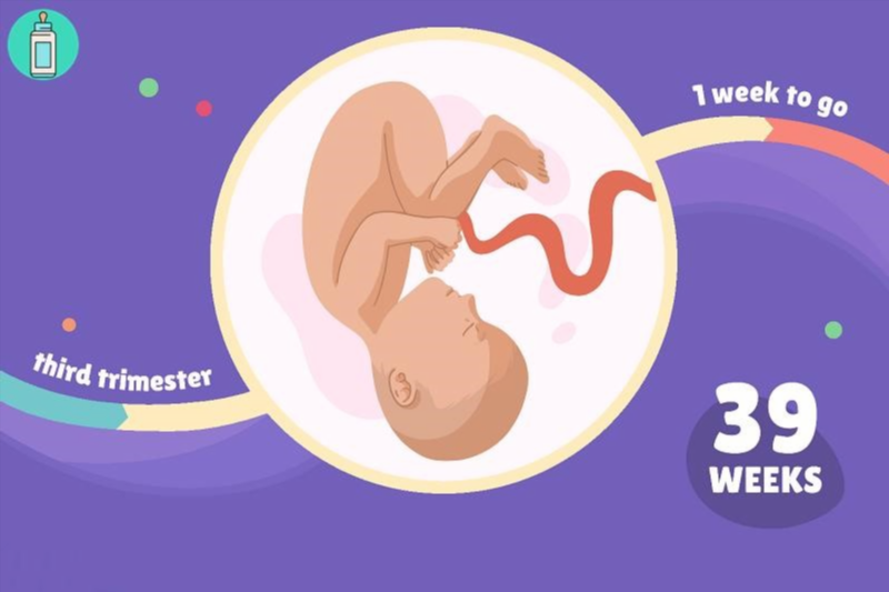 Mang thai tuần thứ 39: Bé yêu đã sẵn sàng chào đời