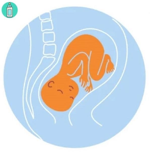 Vị trí nằm của thai nhi 27 tuần tuổi