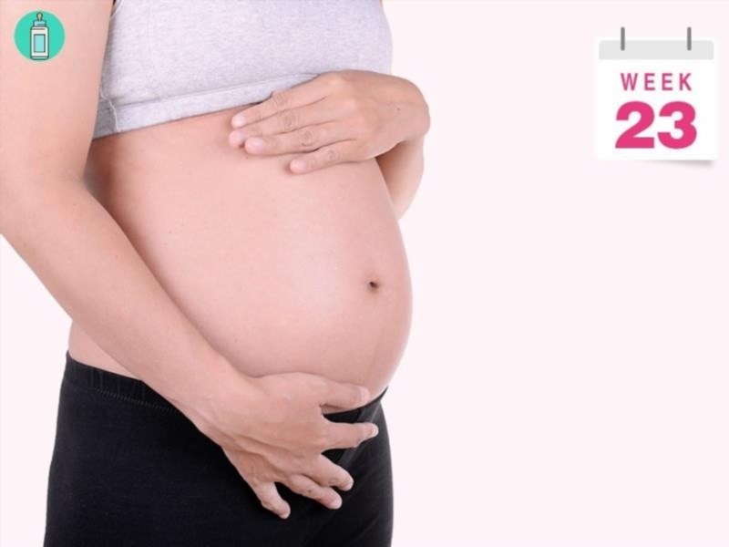 Sự biến đổi của người phụ nữ mang bầu vào tuần thứ 23.