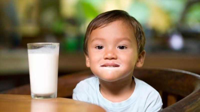 Những lưu ý về sữa cho trẻ 2-5 tuổi uống mỗi ngày